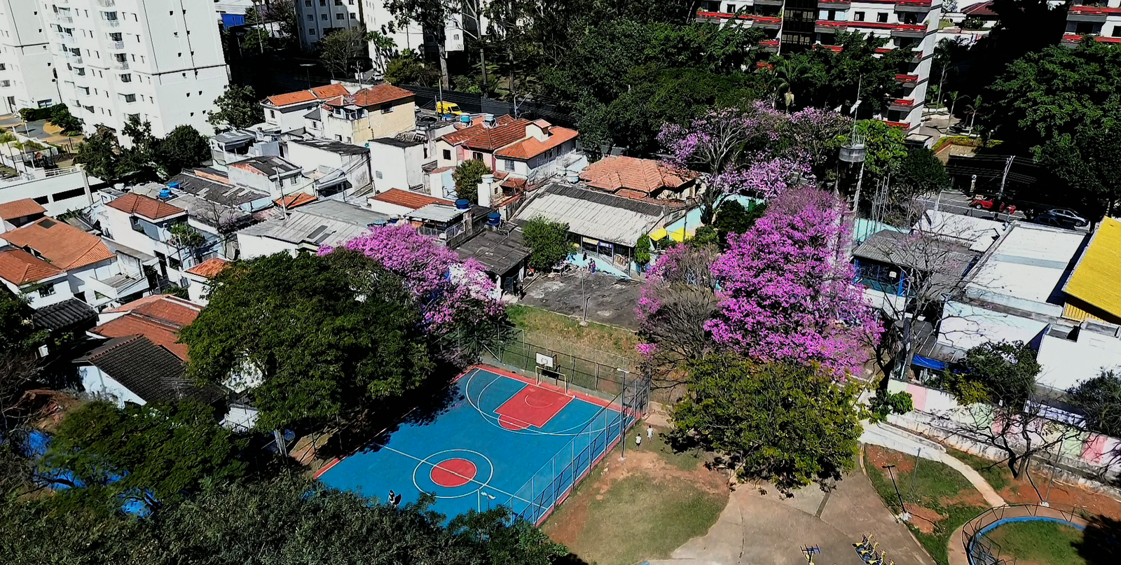Quadra esportiva na comunidade — placeholder do vídeo institucional